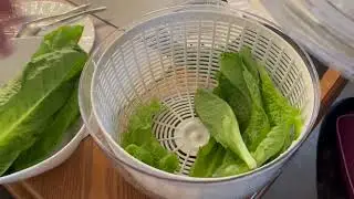 OXO Good Grips Large Salad Spinner