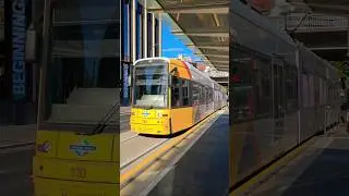 Adelaide tram at City West stop 🚉 #shorts #tram #transport #adelaide #australia