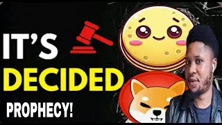 🚨Crepe, ShibaInu Prophecy Fulfilled! we're Finally There God's Prophetic Dream?