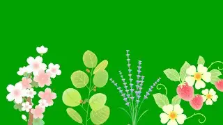 18 awesome Flowers green screen animation effects HD || chroma key flowers footages || Crazy Editor