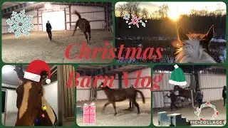 Christmas Barn Vlog