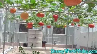 Living With The Land - Epcot