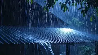 Calm Cozy Night Rain ASMR Sounds to Ease Anxiety for Late Night Calm Thoughts and Soft Dreams 0110