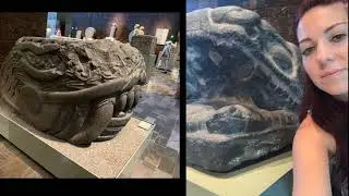 Monolithic Aztec Serpent Head