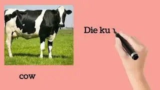Animals,#germanlanguagelearning 