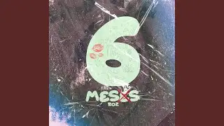 6 MESES