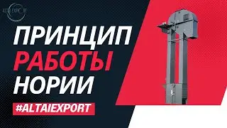 Принцип работы Нории #altaiexport