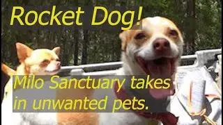 Milo Sanctuary