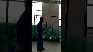 PVB laminated glass production