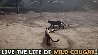 Cougar Of The Forest VS Bear Wolf Deer Buffalo And More. Most Realistic Animal Simulator