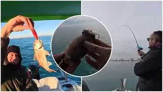 ❗🎣VIDEO DOBLE ❗🔥🔥LA &Uacute;LTIMA SALIDA DEL 2025 + LA PRIMERA DEL 2026🔥🔥 EMPIEZAN EL A&Ntilde;O ACTIVOS🫣