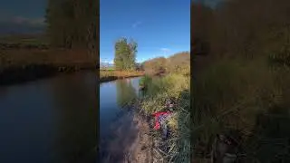 Fish river NSW, beautiful trout river