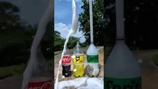 Popular Coke Sodas Vs Mentos (Coke, Sprite, Fanta) #satisfying #experiment #asmr