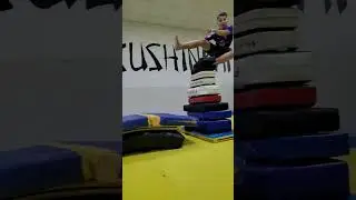high jump kick #kyokushinkai #karate#shorts