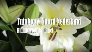 Tuinbouw Noord-Nederland: Ruimte voor Initiatief
