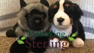 🌿Douglas D’Lux Sterling Plush Unboxing And Review🌿🦊 | Swirly Curl