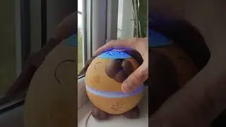 iherp pups diffuser ❤️