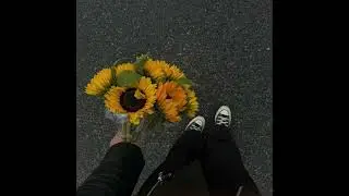 [FREE] Indie Rock x Clairo Type Beat 