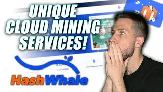 Exploring Hash Whale / Unique Cloud Mining Project