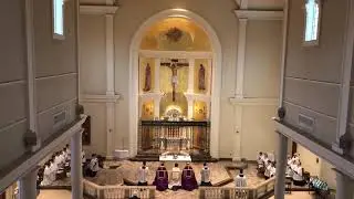 Gesualdo - Laboravi in gemitu meo