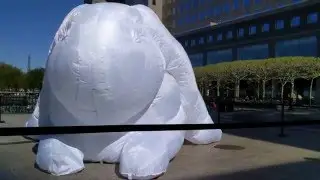 Intrude by Amanda Parer at Brookfield Place