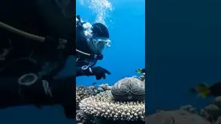 Wait for the boom 💥🤯 #viral #deepsea #cgi #ocean #transformation #fantasy