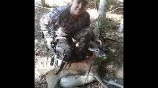 chasse &agrave; l'arc caroux-espinouse.
