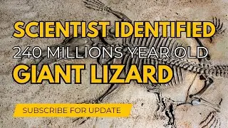 240 Millions year old giant lizard Fossil like creature that Scientist identified #giant