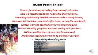 eCom Profit Sniper