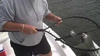 Captain V breaks HOW2fish.net e-EXCURSION Record