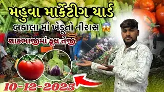 આજના સબજી ના ભાવ બોવ ઉચા 😱મહુવા માર્કેટીંગ યાર્ડ બકાલા ના ભાવ ફુલ તેજી જોવા મળી 🥬🍅