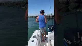 How to snag bunker for live bait! #shorts