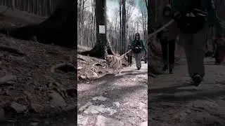Passeggiata con il cane #shorts #dog #trekking #nature