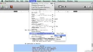 Final Draft 102: Revising and Editing a Screenplay - 20. When to Adjust Your Leading