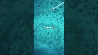 What I see VS my Drone