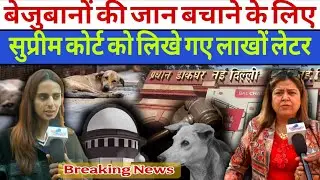 बेजुबानों की जान बचाने का मिशन! सुप्रीम कोर्ट में हलचल | Stray Dog Case