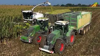 Maisernte 2023 - Feldhäcksler Claas Jaguar, Traktor Xerion 5000 Lohnunternehmer Farmer Corn Harvest