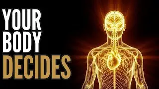 The Missing Link Between Mind, Body, and Reality &mdash; Fully Explained in Minutes
