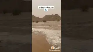 muita chuva o deserto virou mar 🌊
