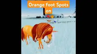 Orange foot spots on #roblox #horses #wildhorseislands
