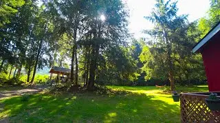 Olympic National Park: Forks to Rialto Beach and back scenic drive 4k