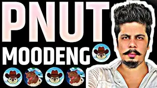 Pnut & Moodeng