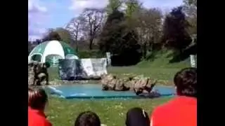 Royal Marines Hand to Hand Combat