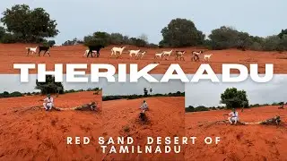 Therikadu red sand  desert of Tamilnadu Thoothukudi district last part