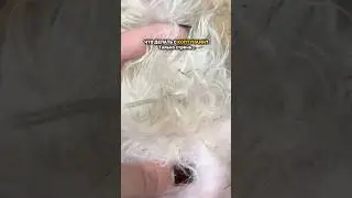 Набор до 1000 на WB #395997077