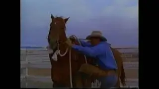 Ruby Jean & Joe: Rodeo Joe