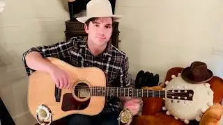 Gallagher Guitar Co., Doc Watson model, Fingerstyle