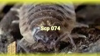 SCP-074 - Is&oacute;podes Qu&acirc;nticos