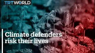 Watchdog's report says record number of activists killed