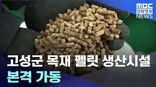 [뉴스리포트] 펠릿생산시설 본격 가동, 보일러 보급은 미흡 20230221